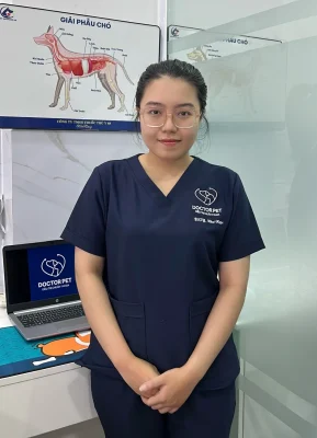 BS. Như Ngọc